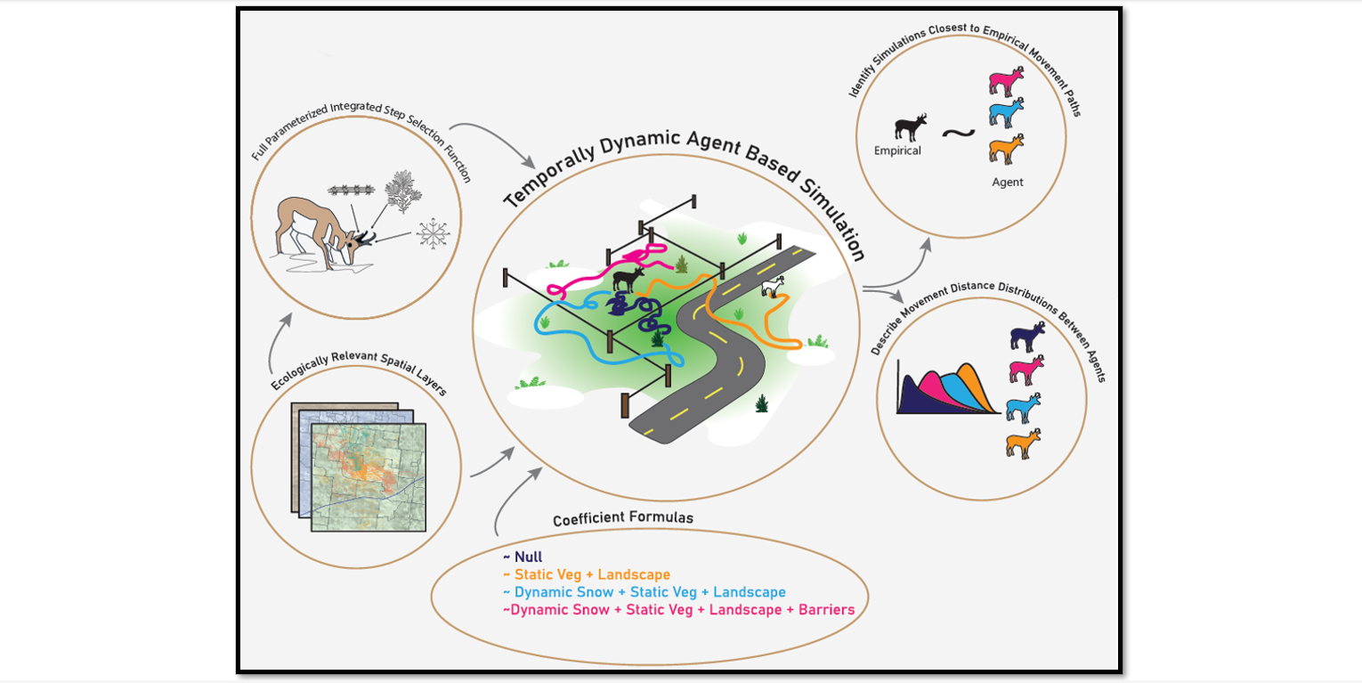 Mechanistic Explanations of Facultative Movements