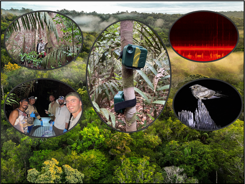 Field Based Biodiversity Monitoring