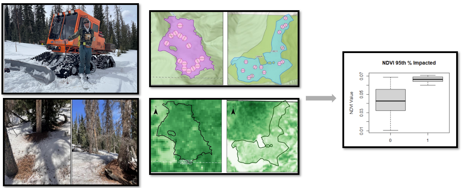Remote sensing in Powderhorn Wilderness