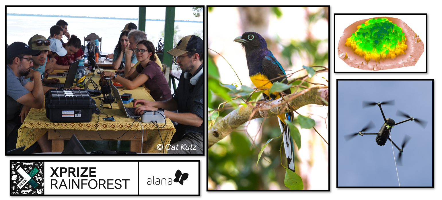 Drone Based Biodiversity Monitoring